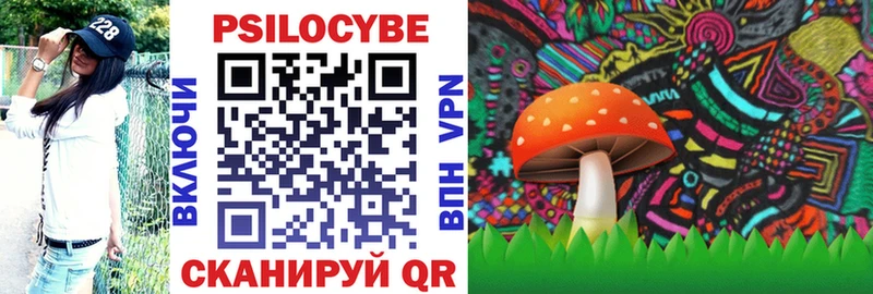 Галлюциногенные грибы Magic Shrooms  Купить закладки  Гудермес 
